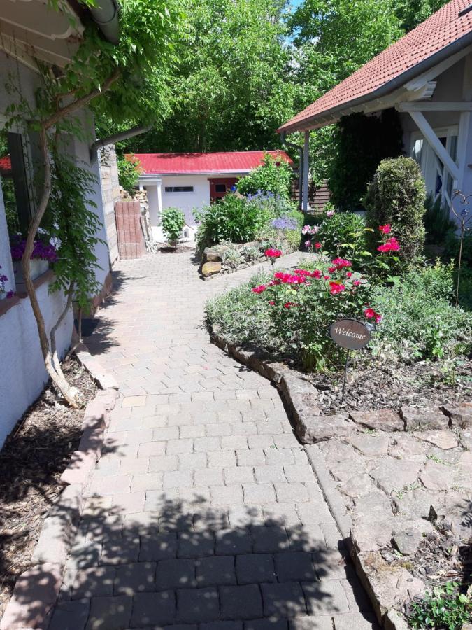 Ferienwohnung Im Schoenen Zellertal Wachenheim an der Weinstraße Dış mekan fotoğraf
