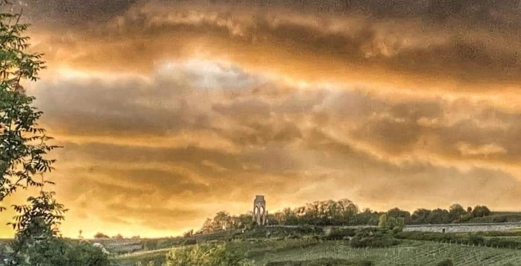 Ferienwohnung Im Schoenen Zellertal Wachenheim an der Weinstraße Dış mekan fotoğraf